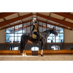 CATAGO FIR-TECH Bay vinter ridehandske, Sort