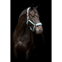 CATAGO FIR-Tech grime, Stone Blue