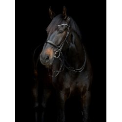 CATAGO Gentle nsebnd