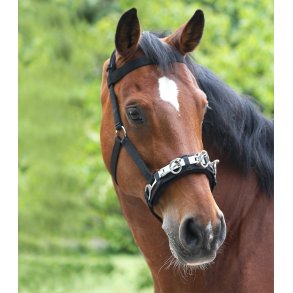 Waldhausen Kapsun Economic Sort