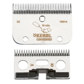 Skr til Constanta Rodeo R2 