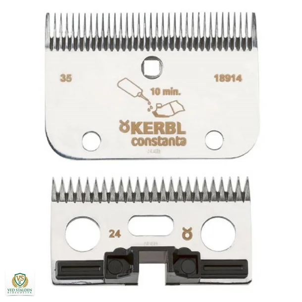 Skr til Constanta Rodeo R2 