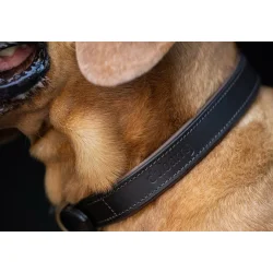 Dubarry Axel Hundehalsb�nd - Mahogany