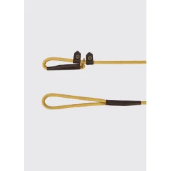 Dubarry Marley Slip Lead Gold