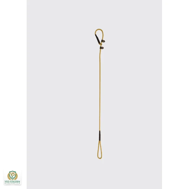 Dubarry Marley Slip Lead Gold