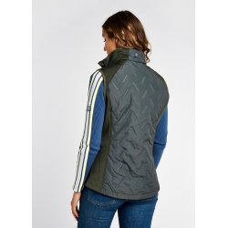 Dubarry Redbarn Performance Vest