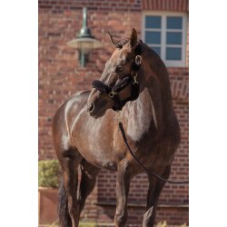 Eskadron FAUX FUR COMPLETE Grime