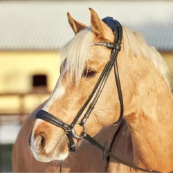 Finesse Spirit hannoveransk nsebnd - Fladt lder