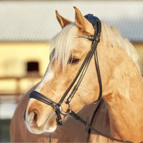 Finesse Spirit hannoveransk n�seb�nd - Fladt l�der