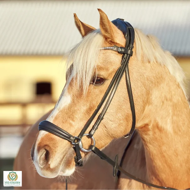 Finesse Spirit hannoveransk nsebnd - Fladt lder