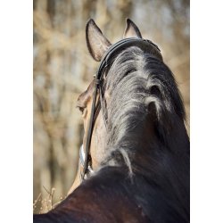 Finesse Trense Cayenne  Sort/Slv med Lak