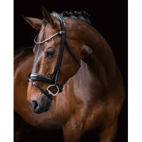 Finesse Trense Cayenne  Sort/Slv med Lak