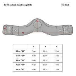 LeMieux gjord Gel-Tek Anatomic Curve short