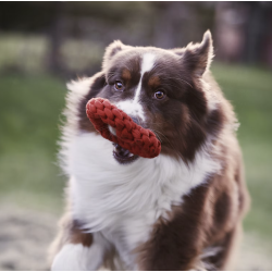 Hansbo Sport Hundelegetj i Reb  Hjerte