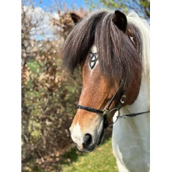 HestaGallery Lukka nsebnd