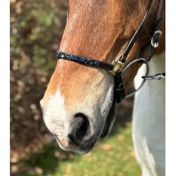 HestaGallery Lukka nsebnd