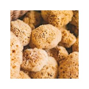 Heyz Natursvamp Stor