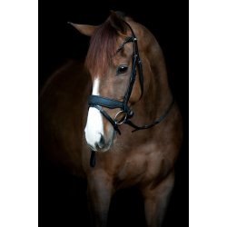 HorseGuard Cryll 24.2 trense kombineret nsebnd m/tilbagetrk