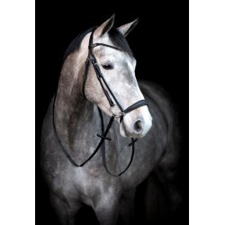 HorseGuard Cryll trense med hannoveransk nsebnd