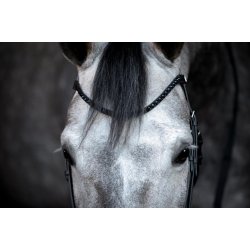 HorseGuard Cryll trense med hannoveransk nsebnd