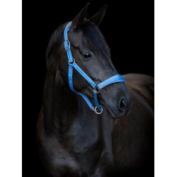 HorseGuard  grime Diya 2.0