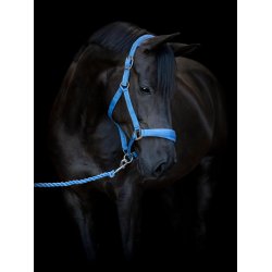 HorseGuard  grime Diya 2.0