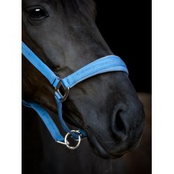 HorseGuard  grime Diya 2.0