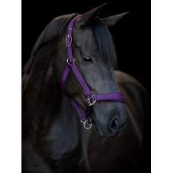 HorseGuard  grime Diya 2.0