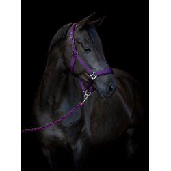 HorseGuard  grime Diya 2.0