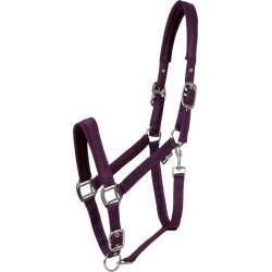 HorseGuard  grime Diya 2.0