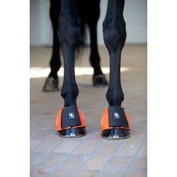 HorseGuard Tamsin klokker