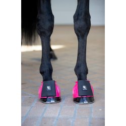 HorseGuard Tamsin klokker