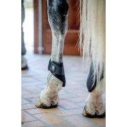 HorseGuard Bagbensgamacher Tary, Phlox Pink