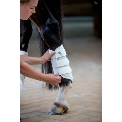 HorseGuard Timothy Mesh Dressurgamacher