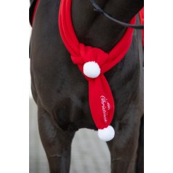 HorseGuard juletrklde