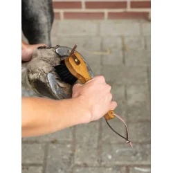 LeMieux Artisan hovrenser med brste