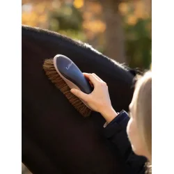 LeMieux Dandy Brush - Navy