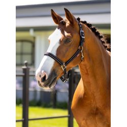 LeMieux Sikkerheds Grime, Sort