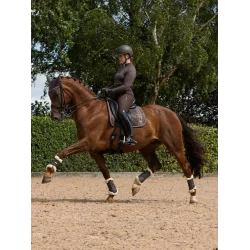 LeMieux Heritage Check Dressurunderlag, Cocoa