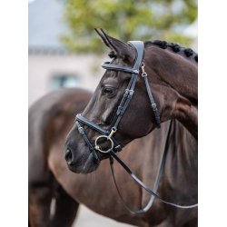 LeMieux Trense -  Kudos Work Bridle