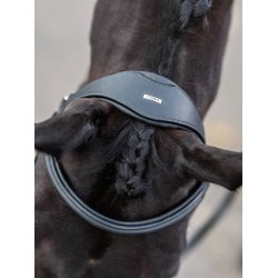 LeMieux Trense -  Kudos Work Bridle