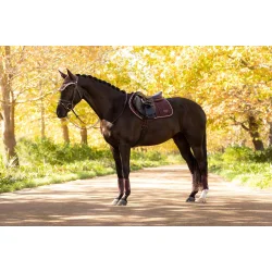 LeMieux Springunderlag Loire Classic CC Square  Damson