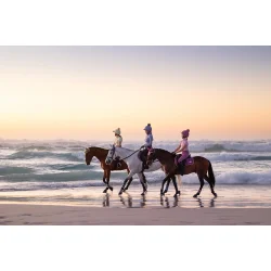 LeMieux Loire Classic Square Springunderlag, Mallow