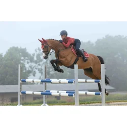 LeMieux Loire Classic Close Contact Square -  Russet