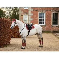 LeMieux Loire Classic Close Contact Square -  Russet