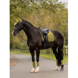 LeMieux Loire Classic Dressage Square -  Gooseberry