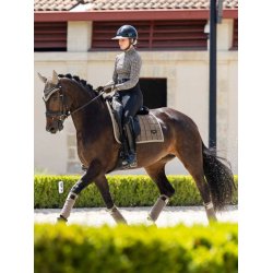 Loire Classic Dressage Square