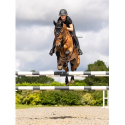 LeMieux Puissance Hut 