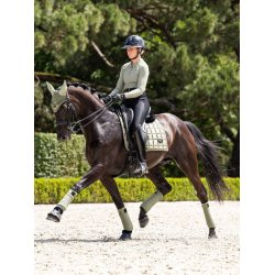 LeMieux Ridetights, Demi Pull On Breggings, Sort