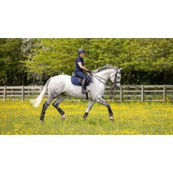 LeMieux Spring Work Pad 